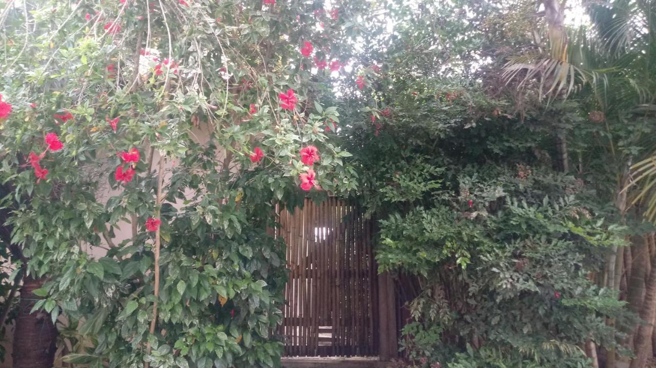 La Tropezina Villa Armacao dos Buzios Dış mekan fotoğraf